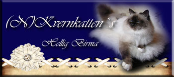 (N)Kvernkatten`s banner